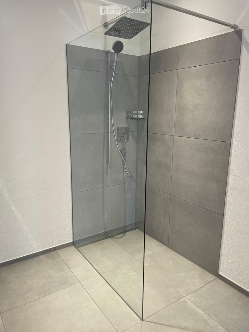 Modern shower area with a glass enclosure, a large showerhead, and a handheld shower attachment. The walls are tiled in grey and white, and the floor is tiled in light beige.