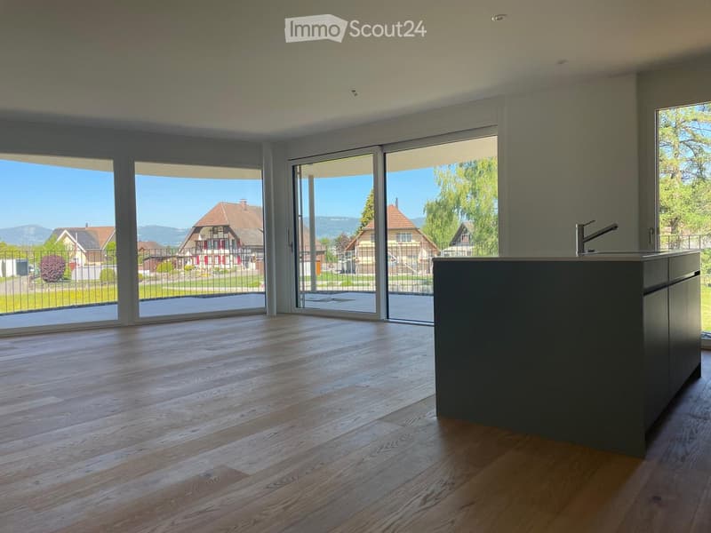 Empty room with wooden flooring, large sliding glass doors leading to a view of a suburban neighborhood, and a small kitchen counter with a faucet visible on the right side.