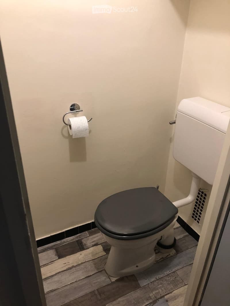 Bathroom with a toilet, toilet paper holder, and wooden flooring.