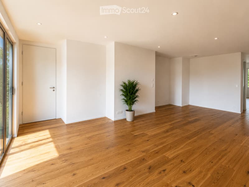 Empty room with light wooden flooring, white walls, and a large glass door leading to an outdoor area. A single potted plant is placed near the center of the room.