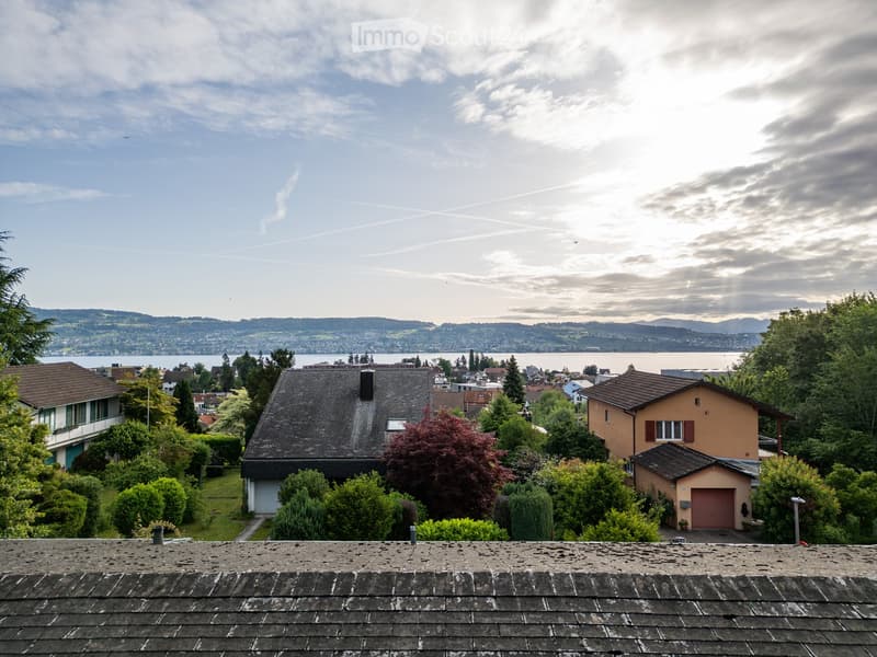 View from a rooftop showing multiple houses, trees, and a scenic lake and mountain backdrop.