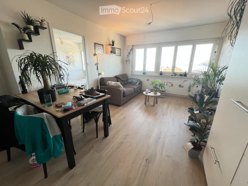 Bright living room with wooden flooring, large windows, a sofa, a dining table, and several potted plants. The space is well-lit and features modern decor.