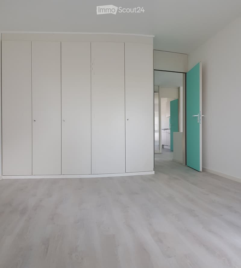 Empty room with light grey wooden flooring, white built-in wardrobes, and a green door leading to another room.