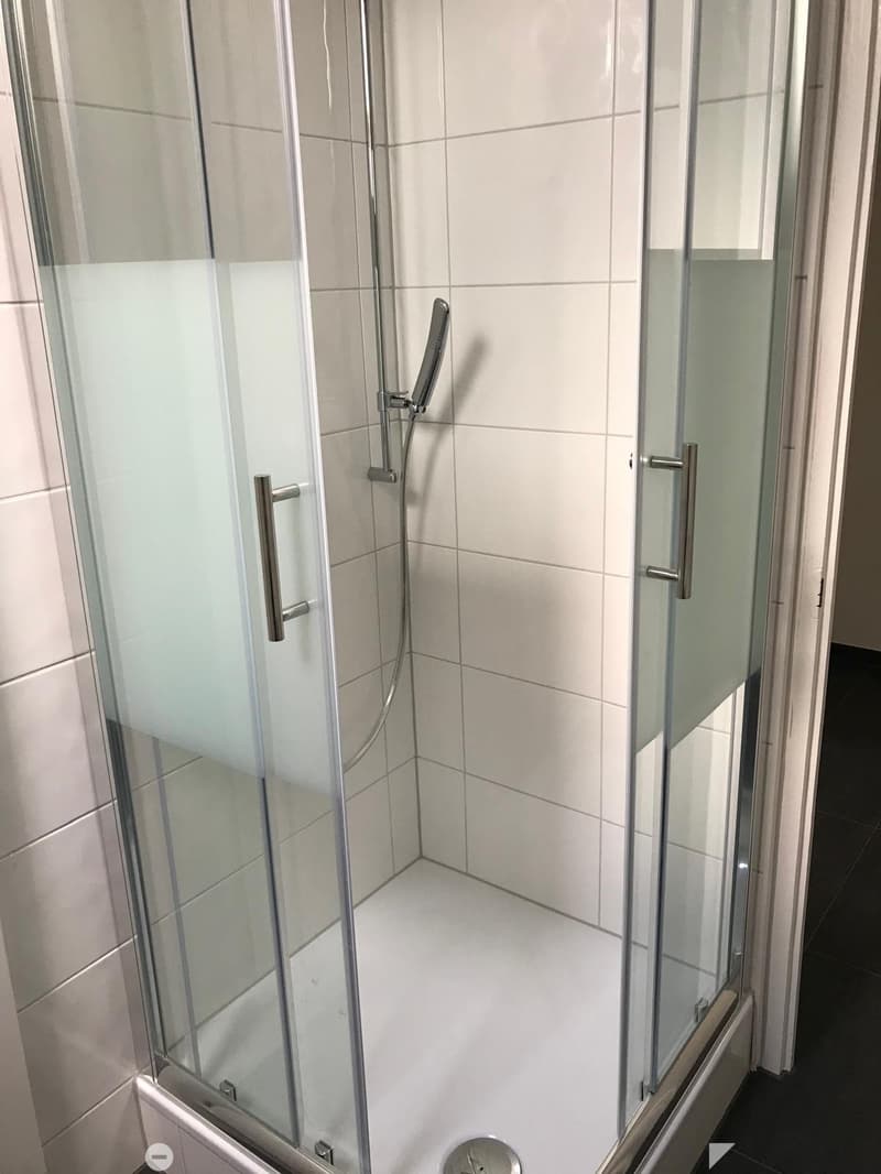 Modern shower stall with glass enclosure, chrome handles, and a handheld showerhead.