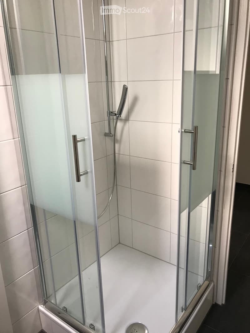 Modern shower stall with glass enclosure, chrome handles, and a handheld showerhead.