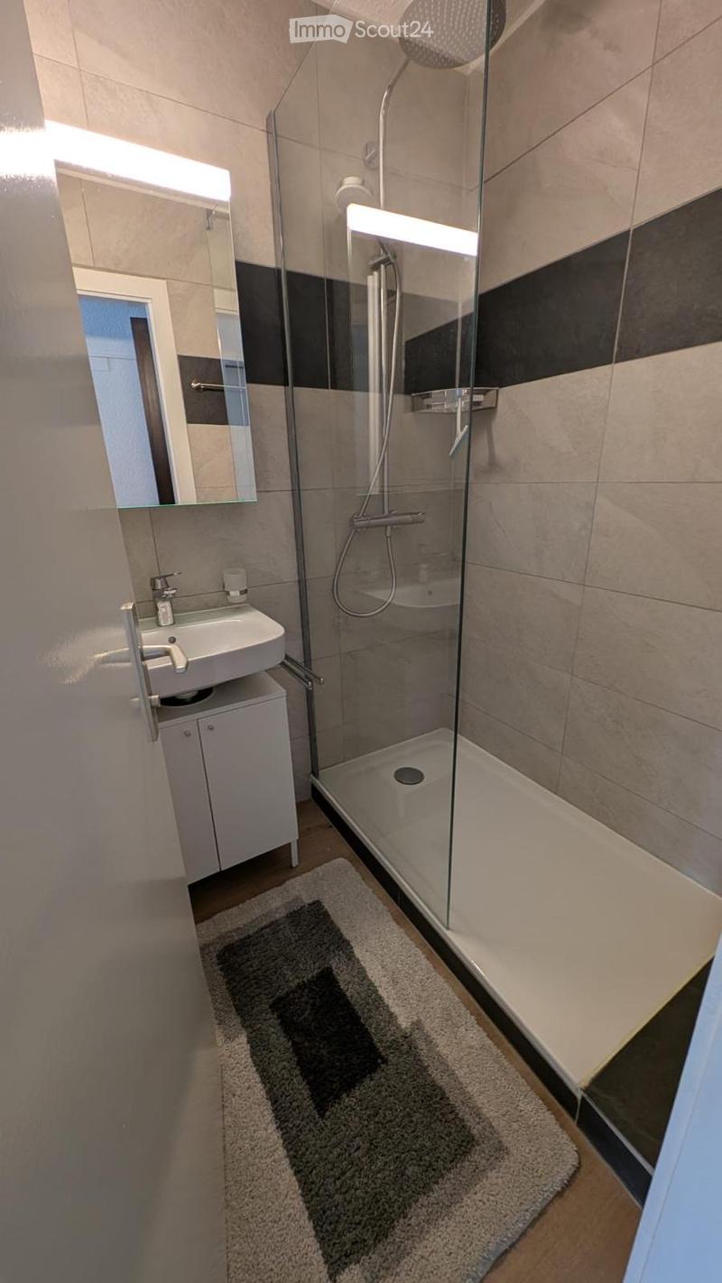 Modern bathroom with a glass-enclosed shower, a sink with a mirror, and a small cabinet. The shower features a handheld showerhead and a built-in seat. A gray bath mat is placed on the floor.