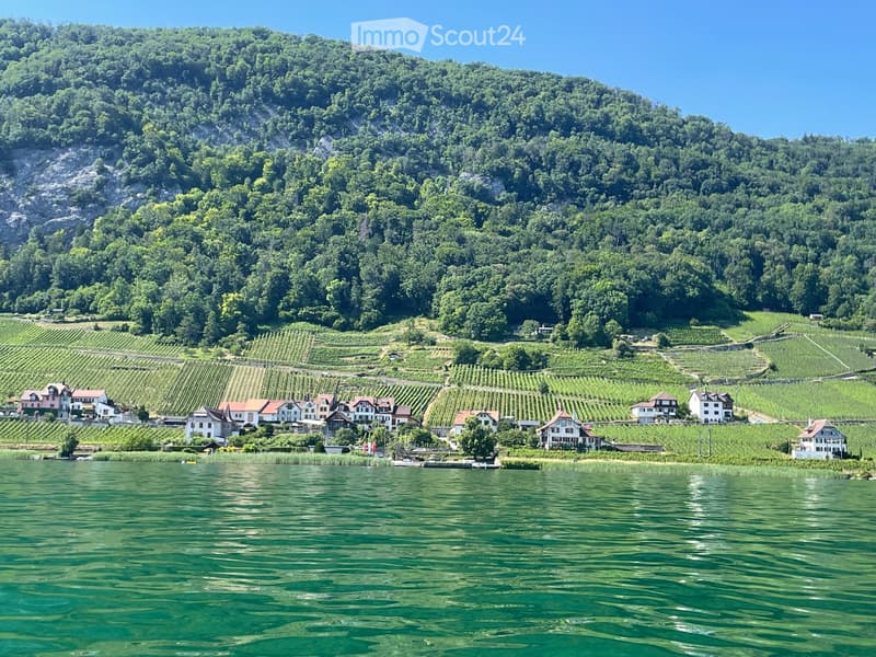 Charming property on Lake Biel with lake and mountain views (1)