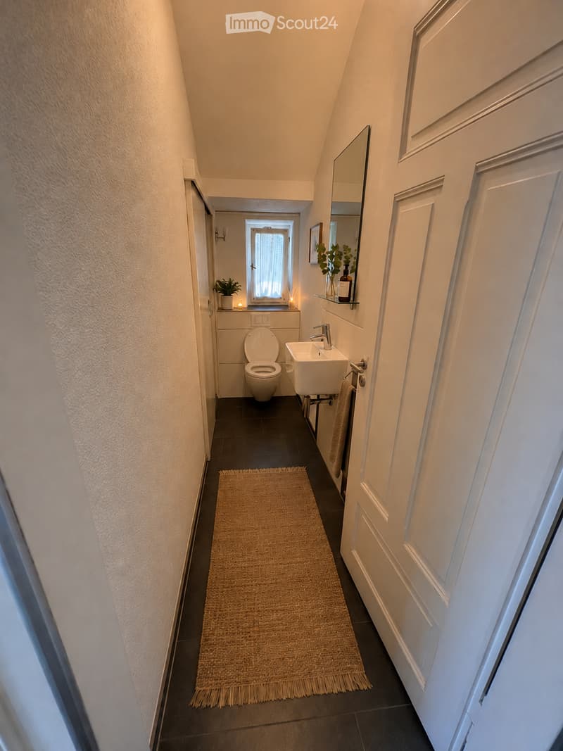 A narrow bathroom with a toilet, sink, and mirror. The space features a small shelf with a plant and decorative items, a towel hanging on a rack, and a small rug on the floor.