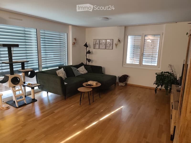 Modern living room with wooden flooring, large windows with blinds, green sofa, cat tree, small table, and decorative items.
