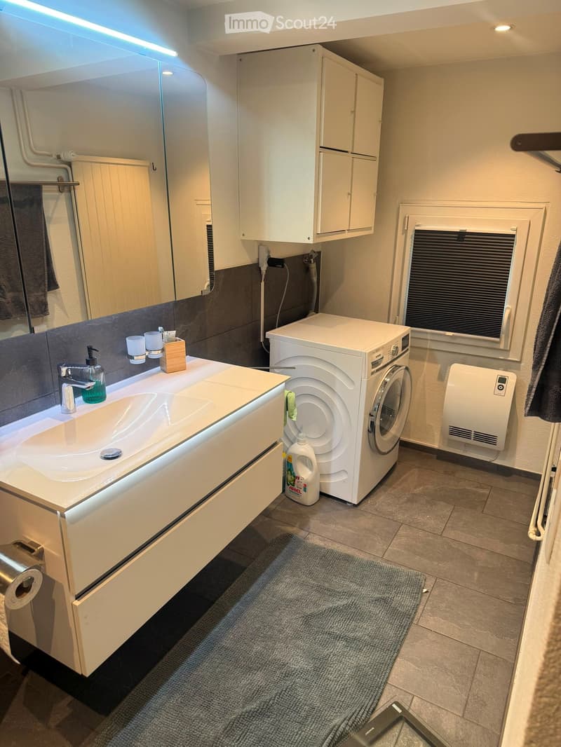 Modern bathroom with a white sink, mirror, cabinet, washing machine, and a small rug on the floor.