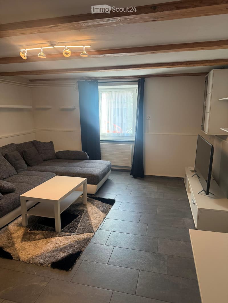 Modern living room with grey sectional sofa, white coffee table, flat-screen TV on a white stand, and a textured rug on the floor.