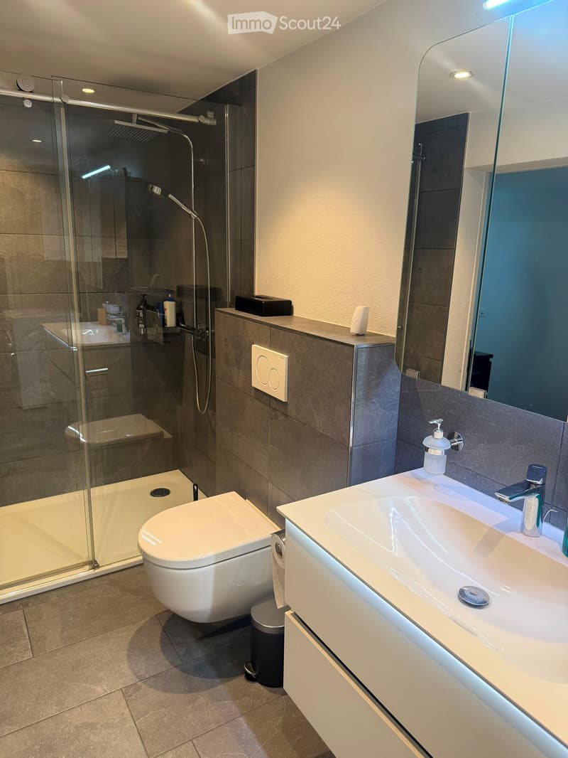 Modern bathroom with a toilet, sink, mirror, and glass-enclosed shower. Features include a sleek sink cabinet, a modern faucet, and a soap dispenser on the sink counter.