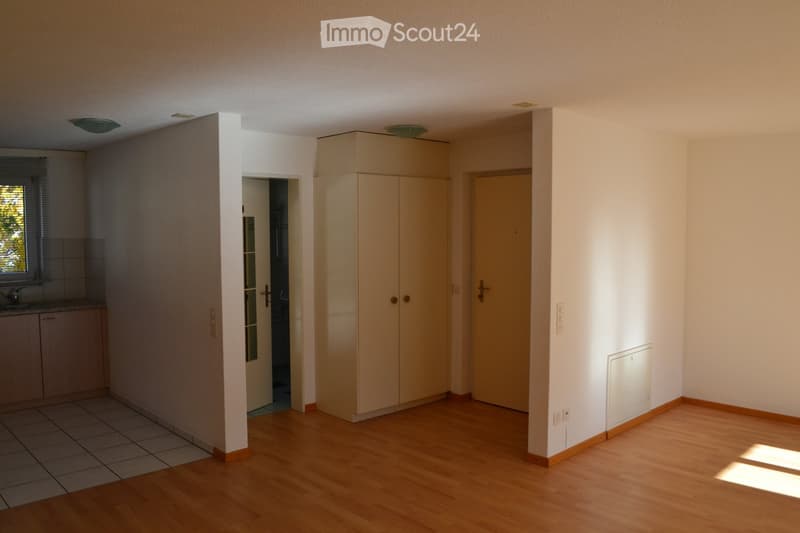 Empty room with wooden flooring, white walls, and a large built-in wardrobe. A doorway leads to another room, and a small window is visible on the left side.