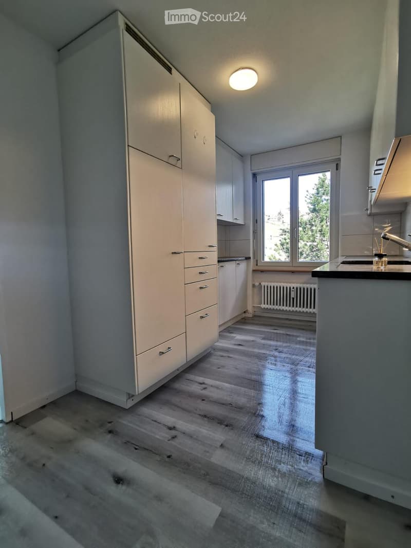 Empty kitchen with light-colored cabinets, wooden flooring, and a window offering a view of greenery outside.