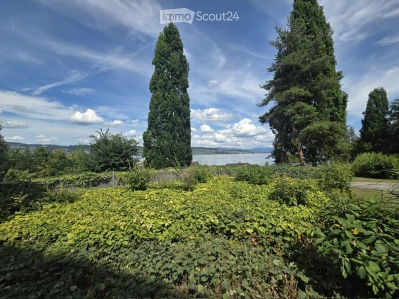 Lush garden with tall coniferous trees, dense shrubs, and a scenic view of a lake and distant mountains under a clear blue sky.