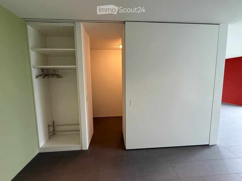 Empty room with a built-in closet featuring shelves and a clothes hanger rod, wooden flooring, and white walls.