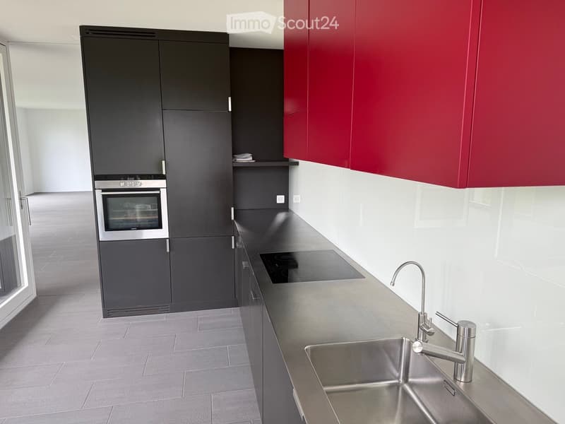 Modern kitchen with stainless steel sink, faucet, induction cooktop, and dark grey and red cabinets.