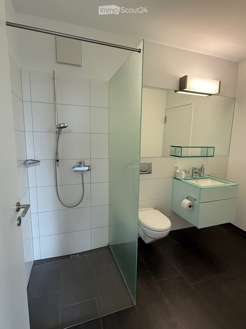 Modern bathroom with white tiles, dark floor, glass shower enclosure, toilet, sink with faucet, and mirrored cabinet with glass shelf.