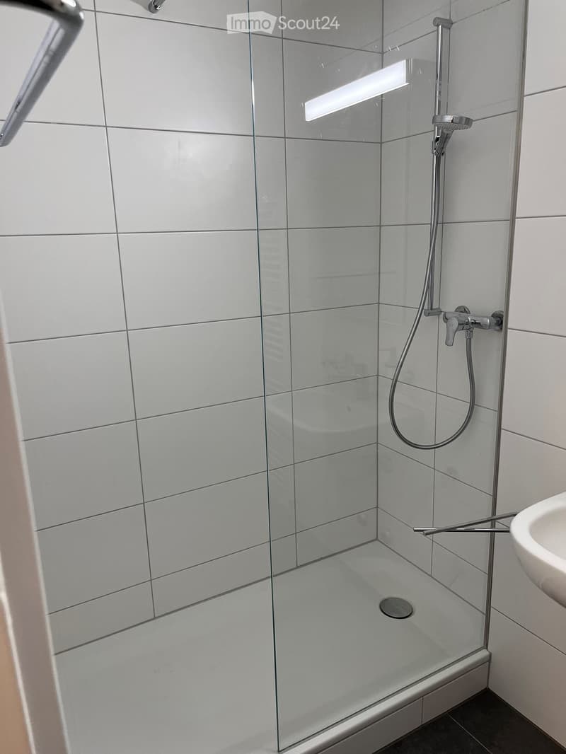 Modern bathroom with a glass-enclosed shower, tiled walls, and a sleek chrome showerhead and faucet.