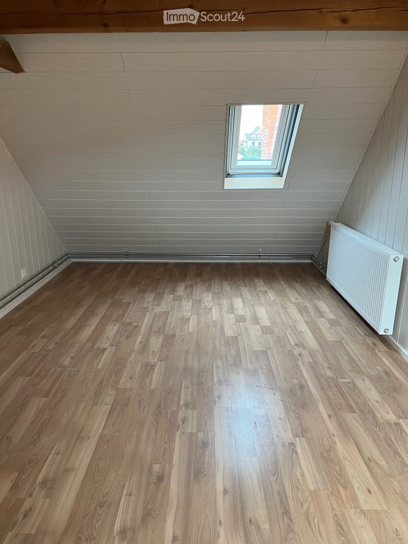 Empty attic room with wooden flooring, white walls, and a skylight window. A white radiator is mounted on one wall.