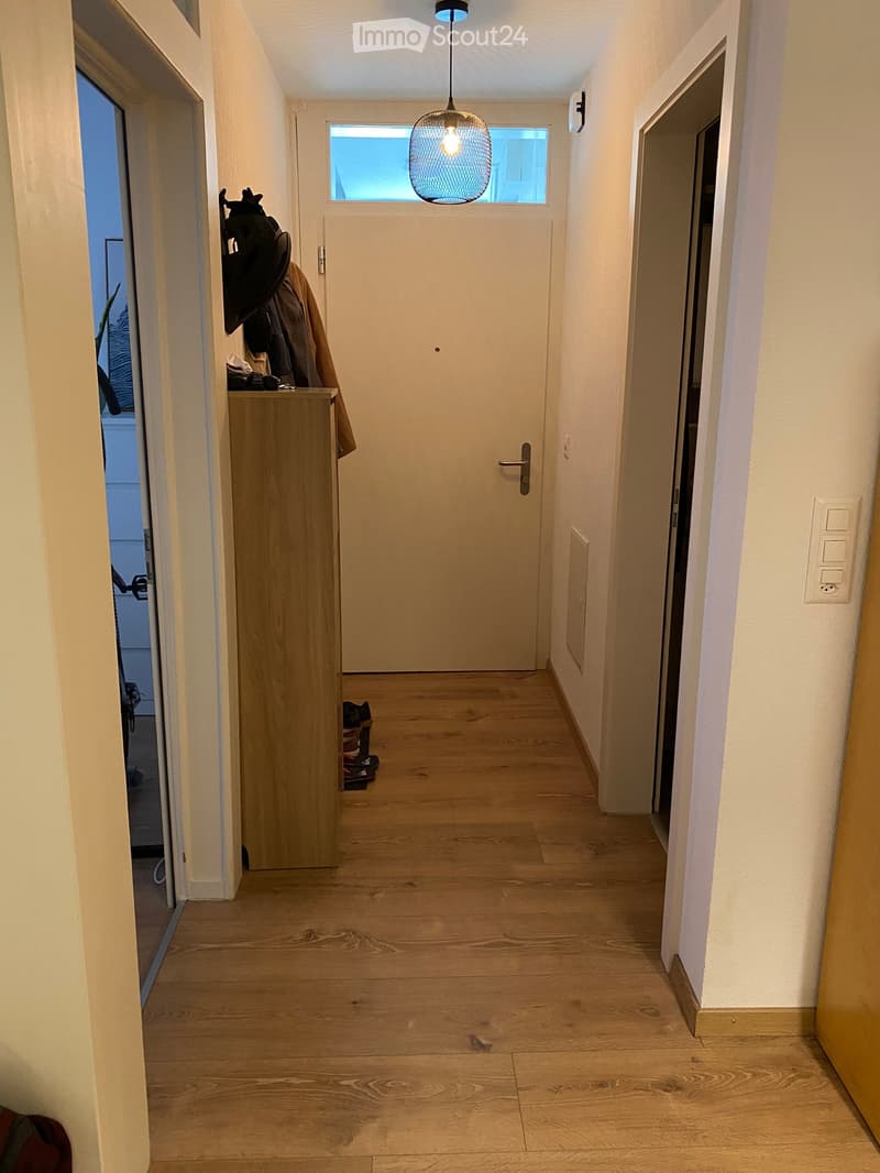 A narrow hallway with wooden flooring, white walls, and a hanging light fixture. A closed door is at the end, with a small cabinet and coats visible on the left side.