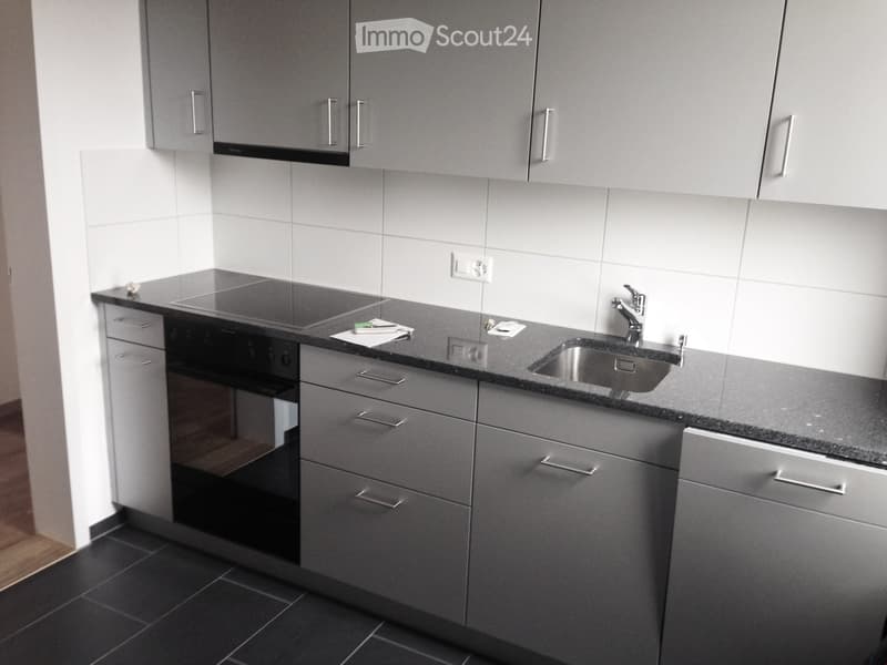 Modern kitchen with grey cabinets, black countertops, stainless steel sink, and built-in oven.
