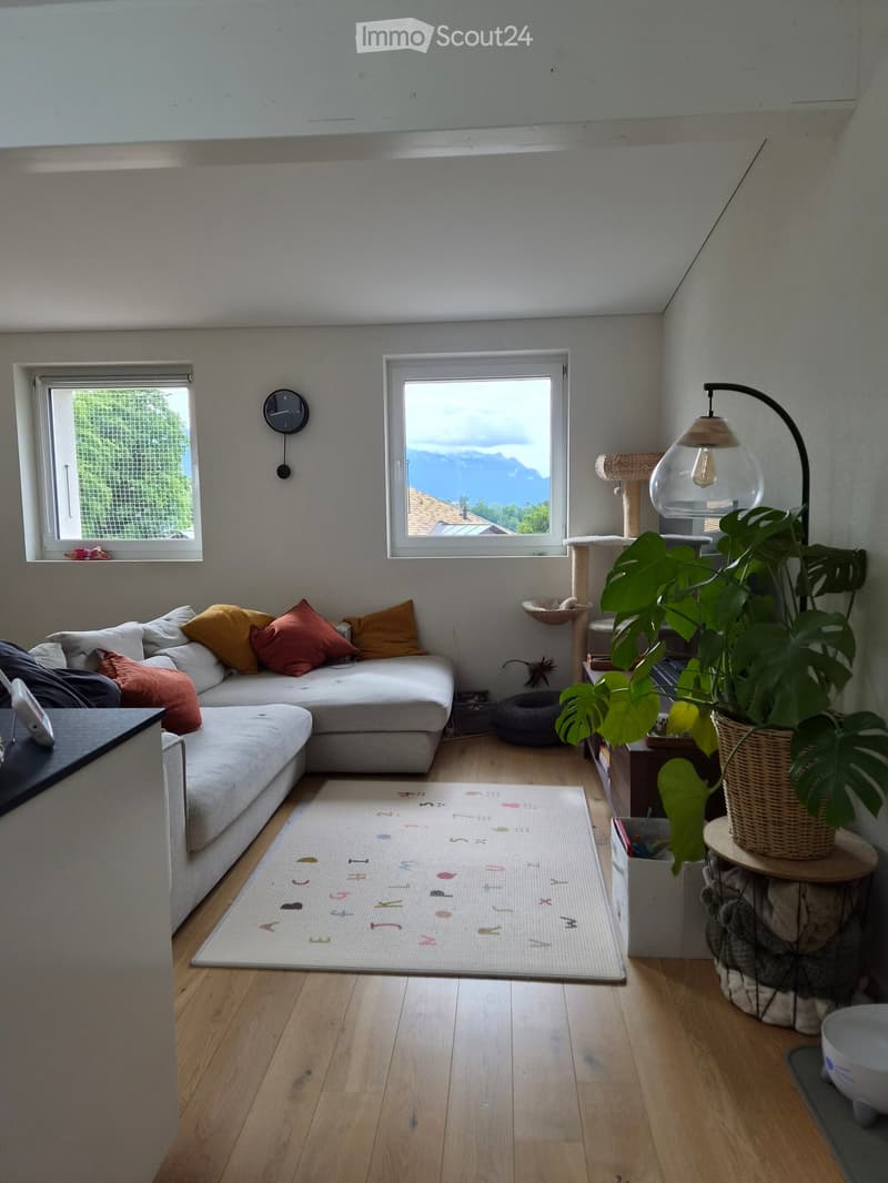Bright living room with large windows offering a scenic mountain view. Features a grey sectional sofa with colorful pillows, a white rug with alphabet letters, a cat tree, a table lamp, and a large leafy plant in a woven basket.
