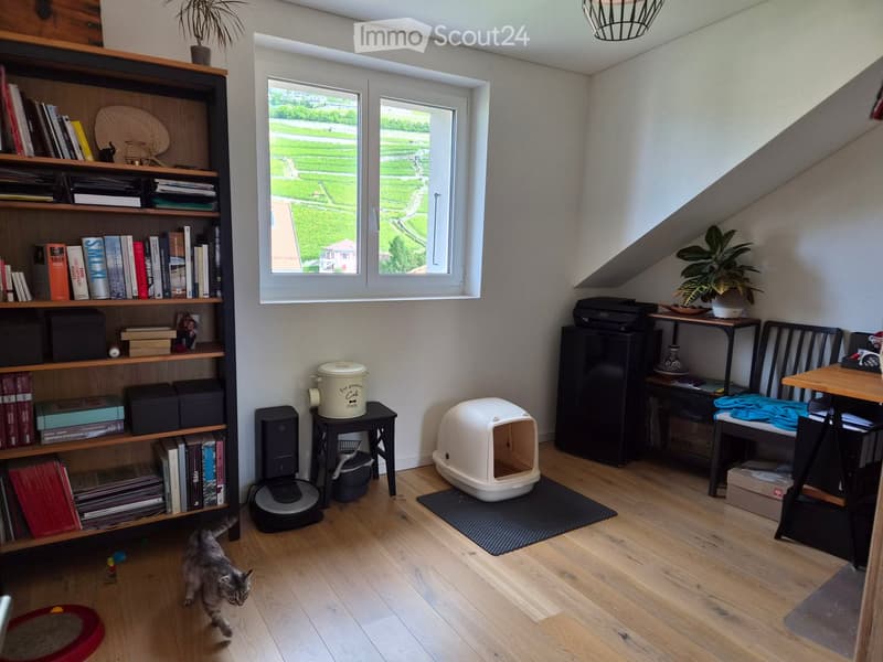 A cozy, well-lit room with wooden flooring, large windows offering a view of a green landscape, a bookshelf filled with books and decorative items, a small table with a plant, a cat litter box, and a cat walking around.