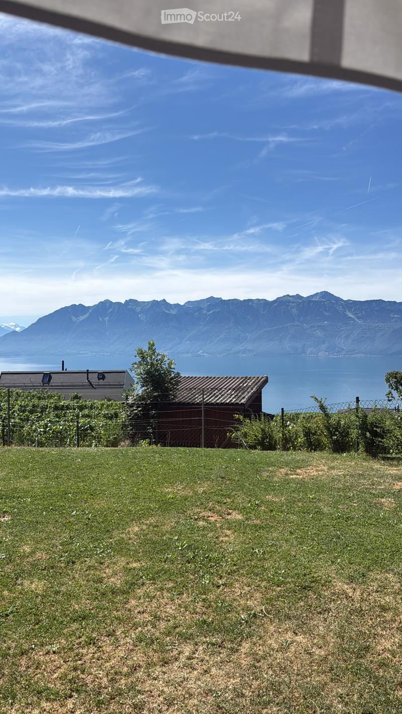 Lush green lawn with a fence, small shed, and distant mountain and lake view.