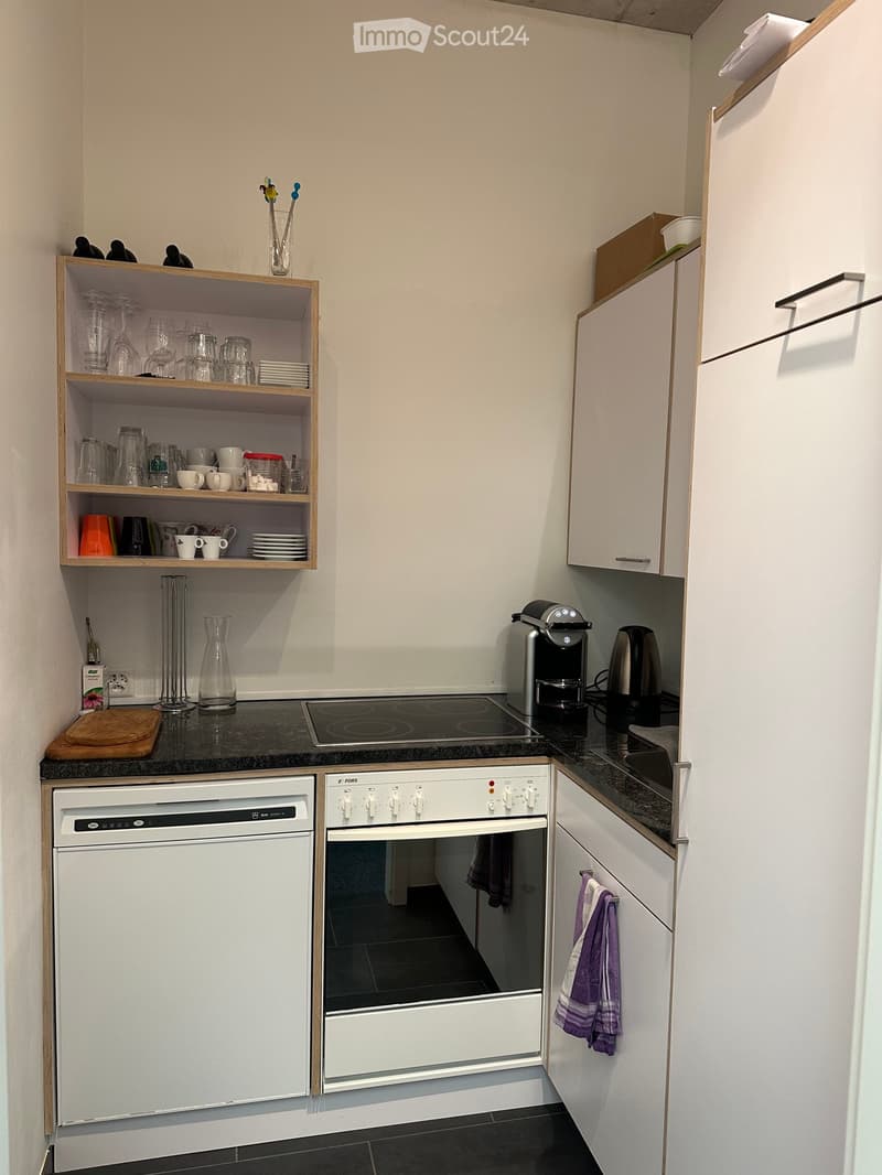 Modern kitchen with white cabinets, black countertops, and stainless steel appliances including a dishwasher, oven, and electric stove. Shelves hold cups, plates, and other kitchenware.