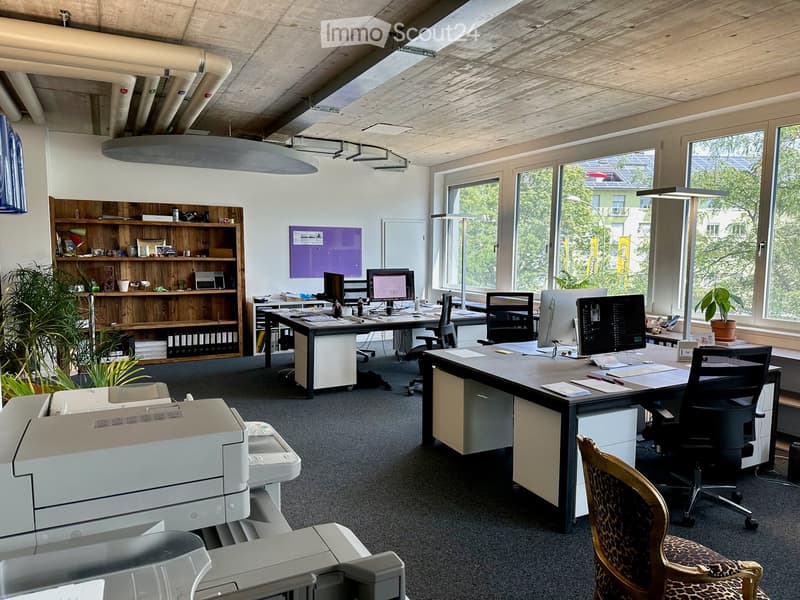 Modern office space with desks, chairs, computers, printers, shelves, and plants, featuring large windows and a contemporary design.
