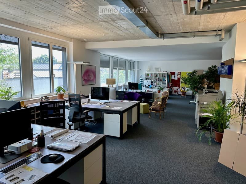 Modern office space with desks, chairs, computers, and plants. Large windows provide natural light, and the room features contemporary decor including artwork and shelving units.