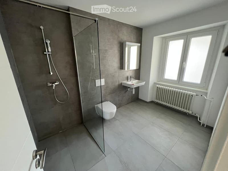 Modern bathroom with grey tiled walls, a glass-enclosed shower, a toilet, a sink with a mirror, and a radiator under the window.