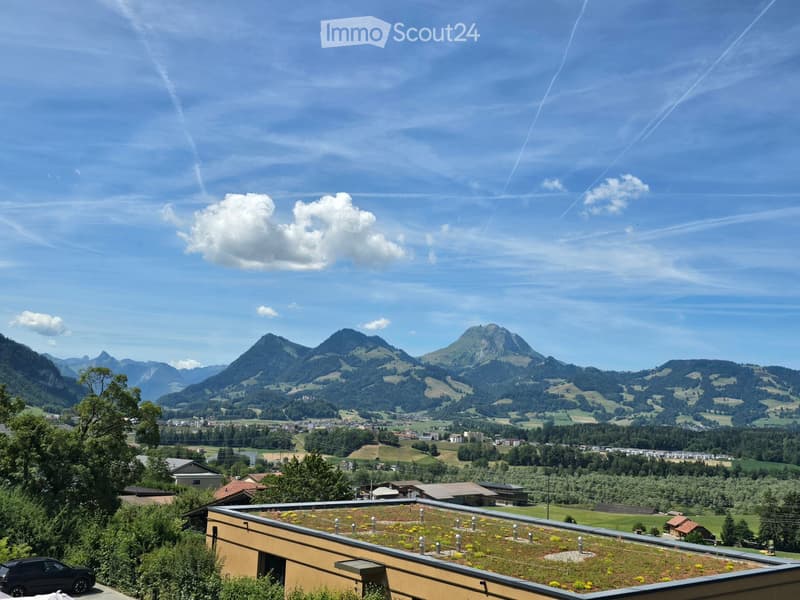 A panoramic view of a lush green valley with rolling hills and mountains under a clear blue sky, featuring a rooftop garden with small plants and a town in the distance.