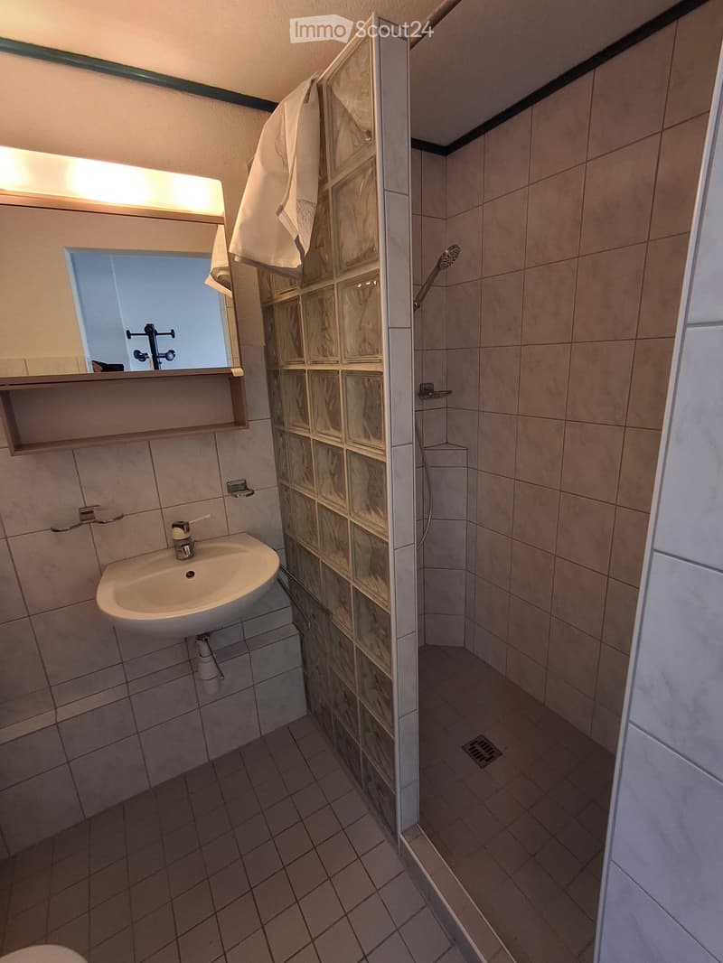 Bathroom with a sink, mirror, shower, and a towel hanging on the glass shower door.