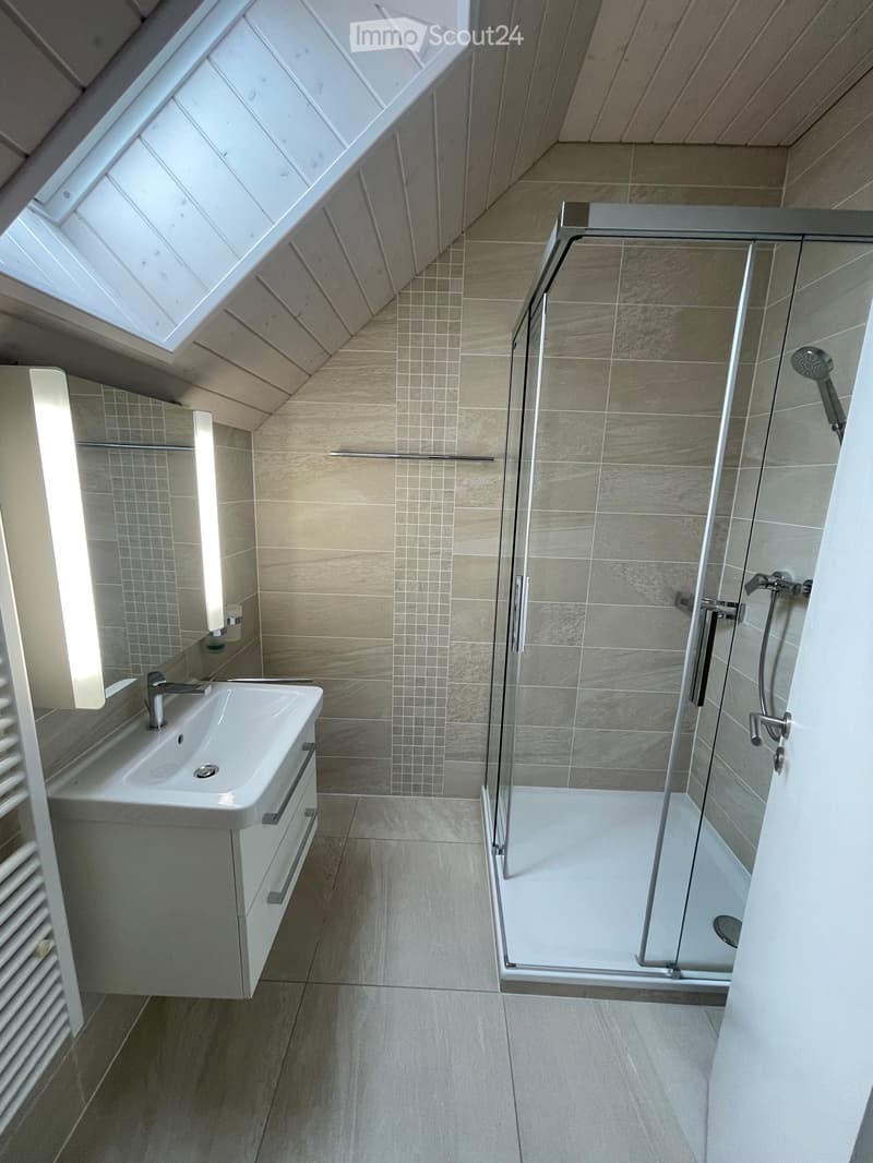 Modern bathroom with a large shower, sink, and mirror. Features a skylight and sleek, contemporary design.
