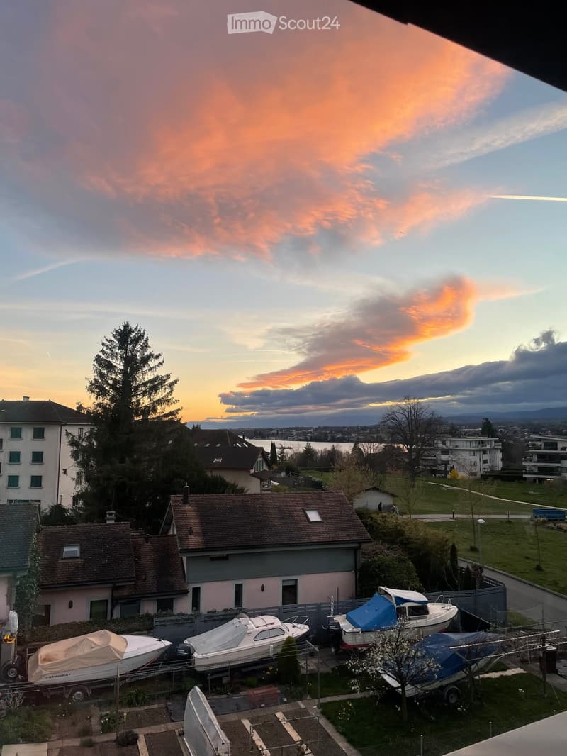 Balcony view overlooking a residential area with boats on trailers, houses, and a sunset sky.