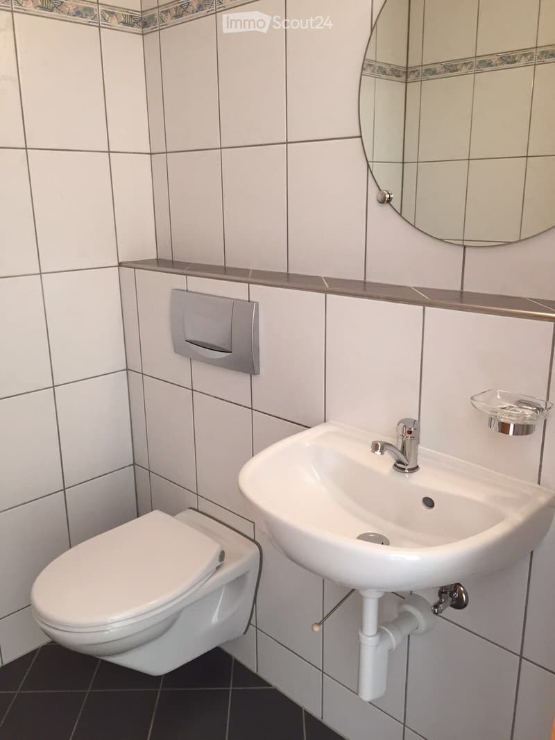 Modern bathroom with white tiles, a toilet, a sink with a chrome faucet, a mirror, and a toilet paper holder.