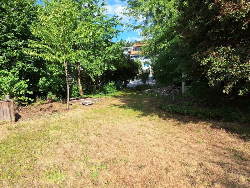 A grassy yard with trees, a wooden post, and a stone border near a house in the background.