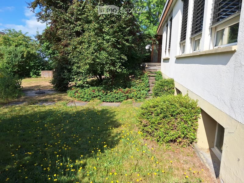 Garden area with grass, yellow flowers, shrubs, and a pathway leading to a house entrance.