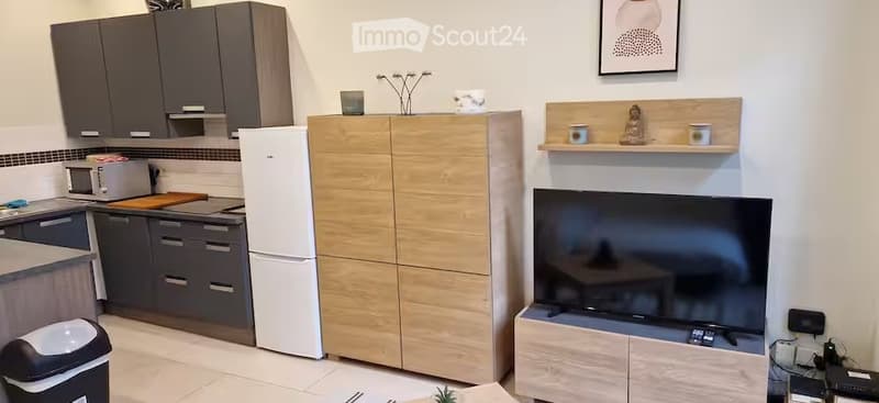 Modern, compact living space combining a kitchen and living area. Features grey cabinets, a white refrigerator, a microwave, a TV on a wooden stand, a wooden shelf with decorative items, and a small table with a chair.