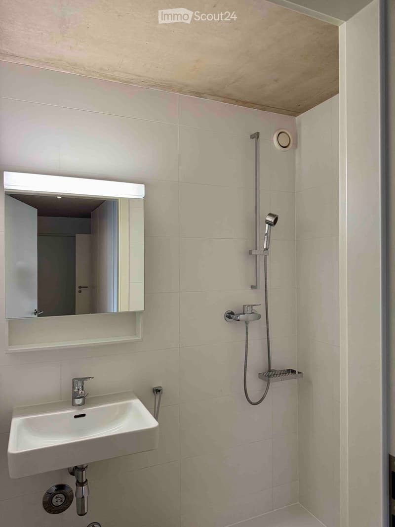 Modern bathroom with a white sink, chrome faucet, large mirror, and a handheld showerhead with hose mounted on the wall.
