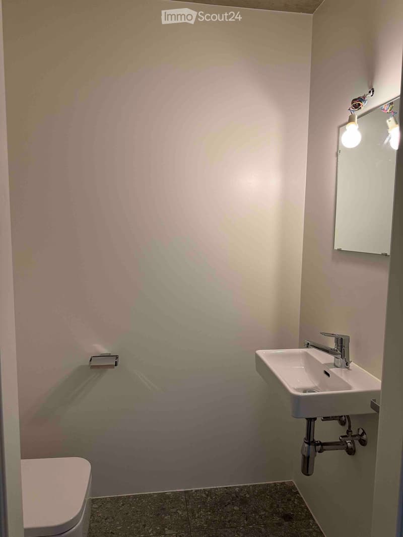 Small bathroom with a toilet, sink, and mirror. Light-colored walls and tiled floor.