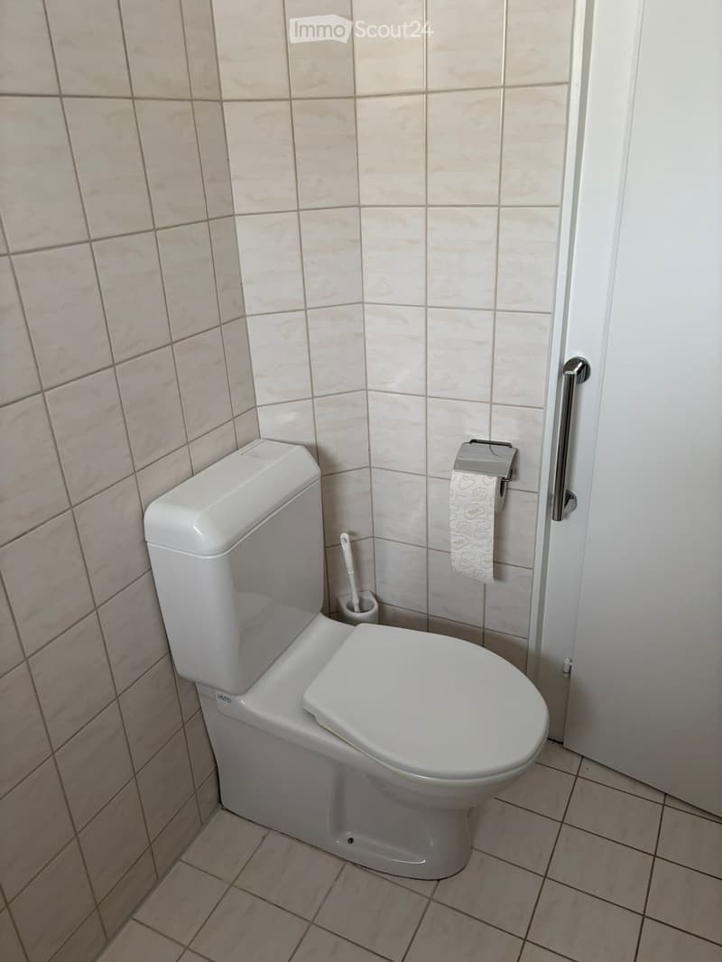 Bathroom with white tiles, white toilet, toilet brush, toilet paper holder