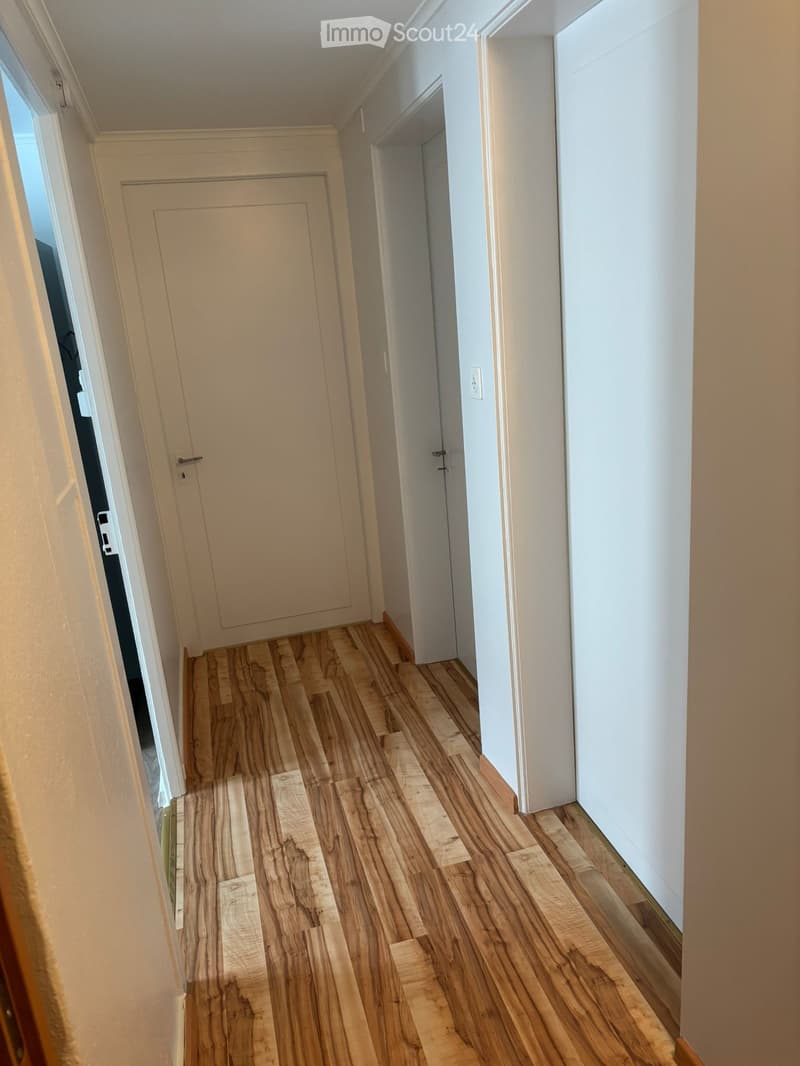 Hardwood flooring, white walls, white doors, power outlet, hallway leading to the rooms.
