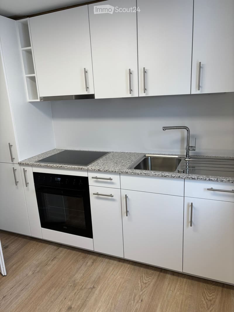 modern kitchen with white cabinetry, granite countertops, stainless steel sink and faucet, induction cooktop, built-in oven, dishwasher and washing machine visible