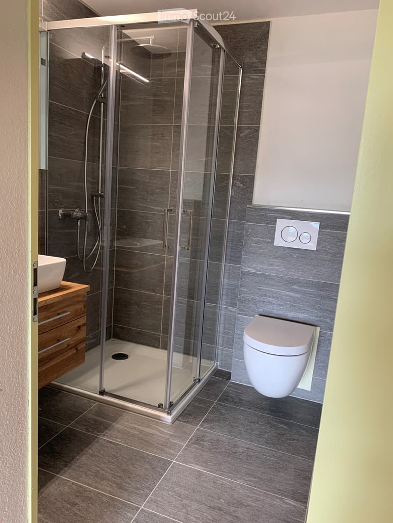 Modern bathroom with grey tiles, glass-enclosed shower, toilet, sink on wooden cabinet, and control panel.