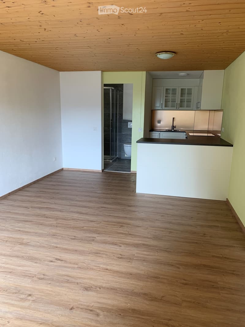 Empty room with wooden flooring, white walls, and a small kitchen area with cabinets and a countertop. A shower and toilet are visible in the background.