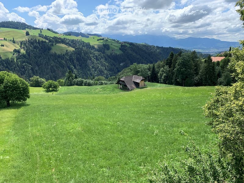 A lush green meadow with scattered trees and a small wooden cabin nestled among the hills, surrounded by dense forests and distant mountains under a partly cloudy sky.