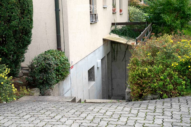 Raised ground floor with windows, concrete steps leading to the entrance, greenery surrounding, staircase